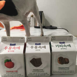 [매일유업] 우유속에 어쩌구_3개 세트 모바일 쿠폰 — 4점을 준 리뷰어가 2019년 10월 올린 사용 사진