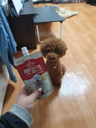 [빙그레] 에버그로 생유산균 1봉（10포입）+펫밀크2팩 — 5점을 준 리뷰어가 2019년 3월 올린 사용 사진