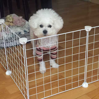 정빵님이 올린 리뷰 사진 2