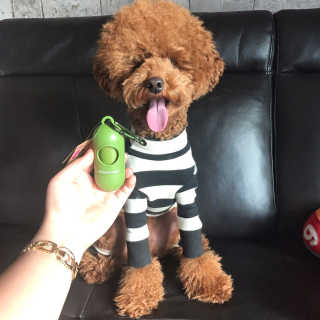 dlsghk3413님이 올린 리뷰 사진 1