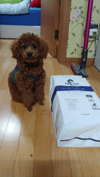 너구리양님이 올린 리뷰 사진 1