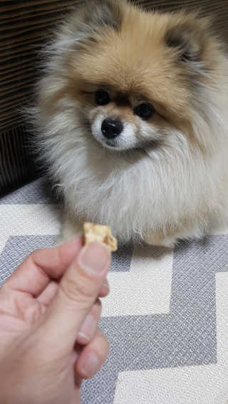 레고사줘님이 올린 리뷰 사진 2