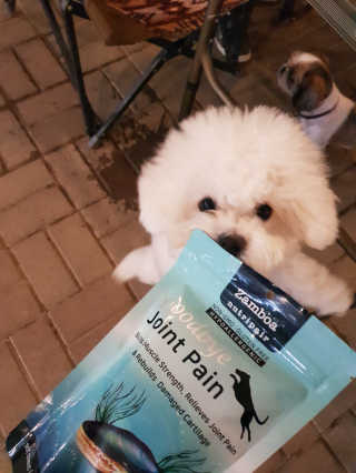 꾸꾸엄마님이 올린 리뷰 사진 1