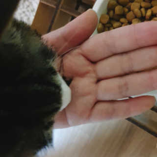 바라기님이 올린 리뷰 사진 2