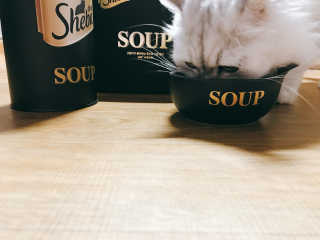 꽃재은님이 올린 리뷰 사진 4
