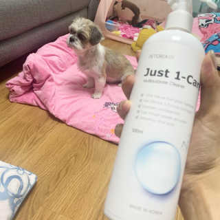 [펫토리아] 뚝딱케어 강아지 고양이 다목적세정제 — 5점을 준 리뷰어가 2020년 2월 올린 사용 사진