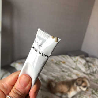 [펫토리아] 건강하게 리뉴얼된 NEW 짜먹는 한입뚝딱 — 4점을 준 리뷰어가 2020년 4월 올린 사용 사진