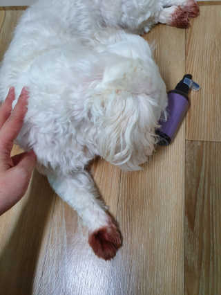썬썬님이 올린 리뷰 사진 3