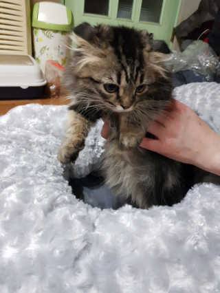 은♥️님이 올린 리뷰 사진 3