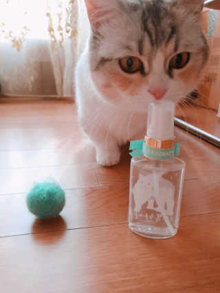 쿠쿠밍님이 올린 리뷰 사진 2
