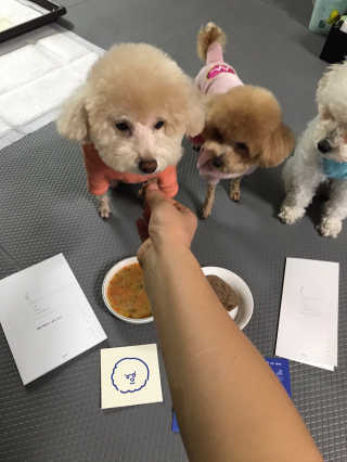 [어글어글] 반려견 친환경 간식 9종 세트 — 5점을 준 리뷰어가 2020년 1월 올린 사용 사진