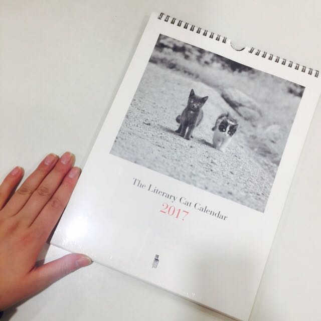 2017 고양이 위클리 캘린더 리뷰 사진