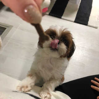 밤준맘님이 올린 리뷰 사진 3