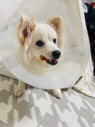 강이님이 올린 리뷰 사진 1