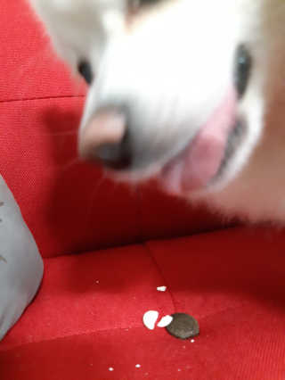 연보라님이 올린 리뷰 사진 3