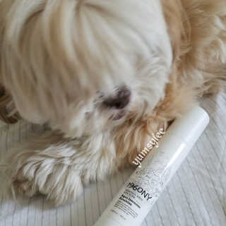 yumsylee님이 올린 리뷰 사진 1