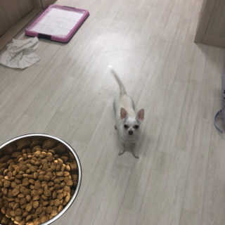 임혜은님이 올린 리뷰 사진 4