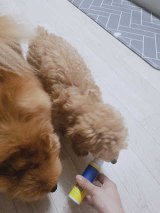 YulaKim님이 올린 리뷰 사진 1