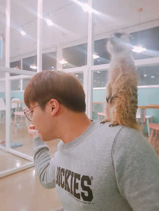 항항항님이 올린 리뷰 사진 4