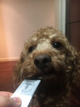 xion님이 올린 리뷰 사진 2