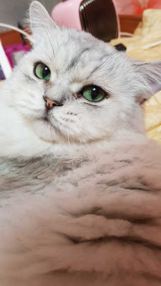 이영실님이 올린 리뷰 사진 4
