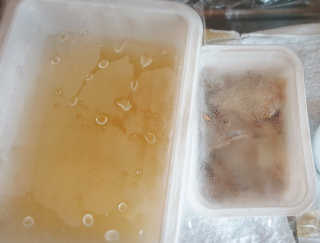 ssong님이 올린 리뷰 사진 2