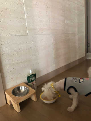 [빙그레] 에버그로 생유산균 1봉（10포입）+펫밀크2팩 — 4점을 준 리뷰어가 2019년 5월 올린 사용 사진