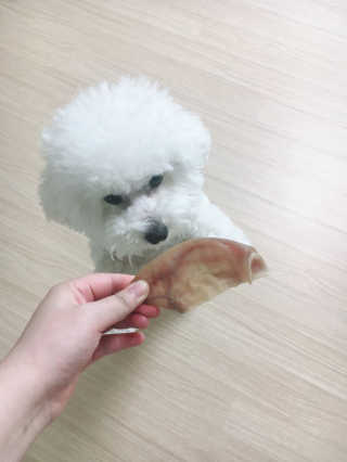 sooing님이 올린 리뷰 사진 3