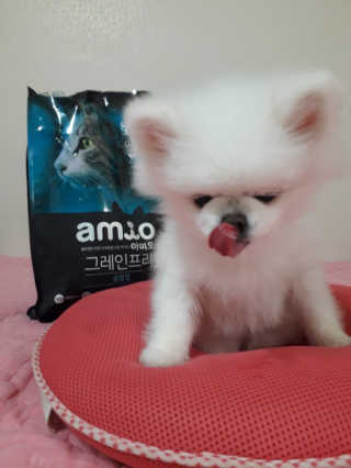 mc바비님이 올린 리뷰 사진 2
