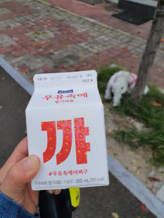 [매일유업] 우유속에 어쩌구_3개 세트 모바일 쿠폰 — 5점을 준 리뷰어가 2019년 10월 올린 사용 사진