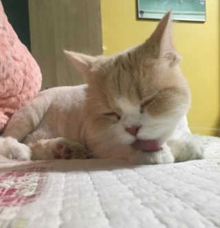 이상백님이 올린 리뷰 사진 1