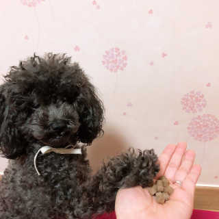 뚜르기님이 올린 리뷰 사진 3