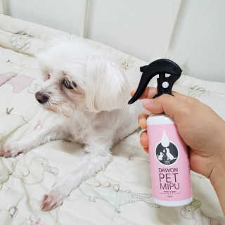 상선언니님이 올린 리뷰 사진 2