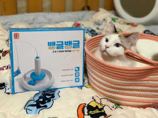 랑이랑도리님이 올린 리뷰 사진 1