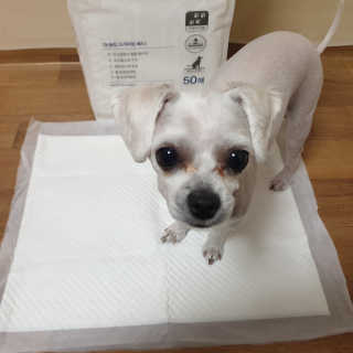 상큼달큼님이 올린 리뷰 사진 3