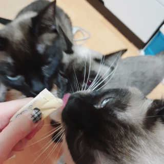 은디님이 올린 리뷰 사진 4