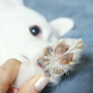 greentea님이 올린 리뷰 사진 3