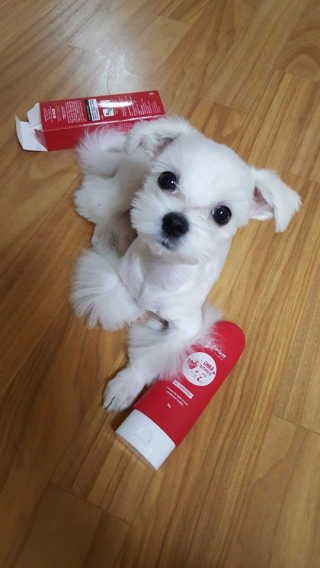 시현맘님이 올린 리뷰 사진 2