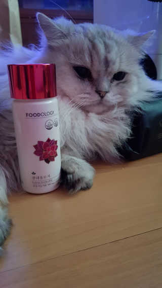 이영실님이 올린 리뷰 사진 3