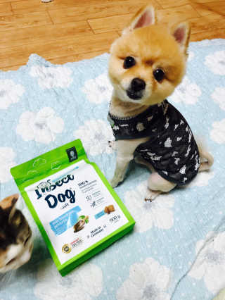 쿠키쿠님이 올린 리뷰 사진 2