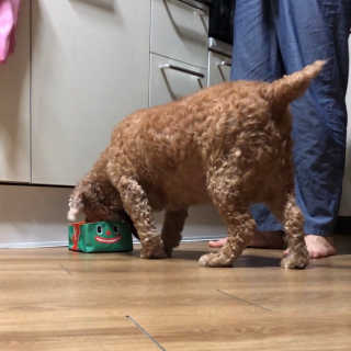 은지짱님이 올린 리뷰 사진 1