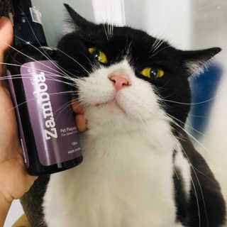 고고고님이 올린 리뷰 사진 1