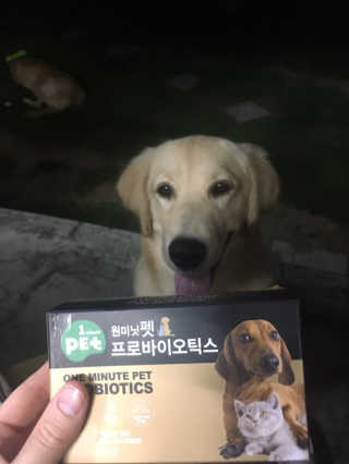드기님이 올린 리뷰 사진 2
