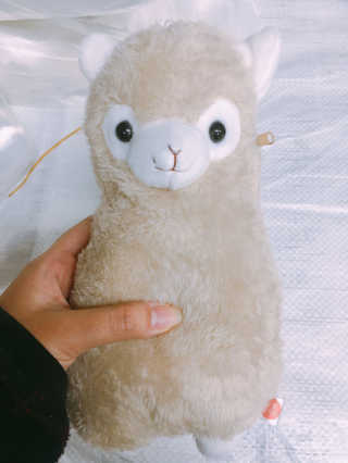이주희님이 올린 리뷰 사진 1