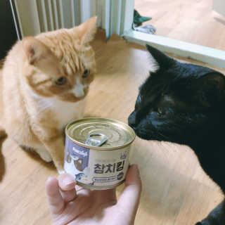 늘봄냥님이 올린 리뷰 사진 2