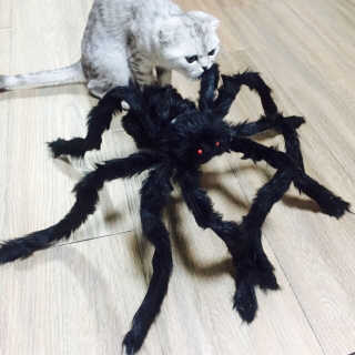 구주희님이 올린 리뷰 사진 1