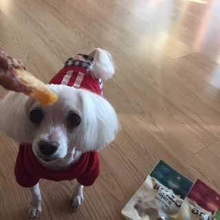 톤희님이 올린 리뷰 사진 1