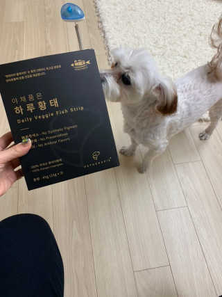 펫테라피 플레이트 야채품은 하루황태 — 5점을 준 리뷰어가 2020년 1월 올린 사용 사진