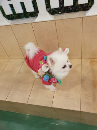 스누피1212님이 올린 리뷰 사진 4