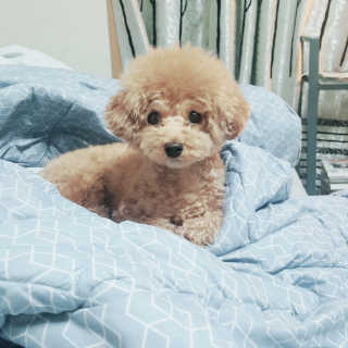 HyerinKim님이 올린 리뷰 사진 2